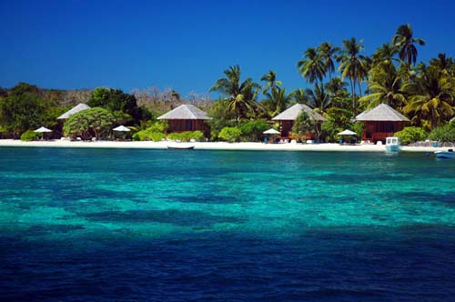 Indahnya Wakatobi di Darat & Laut