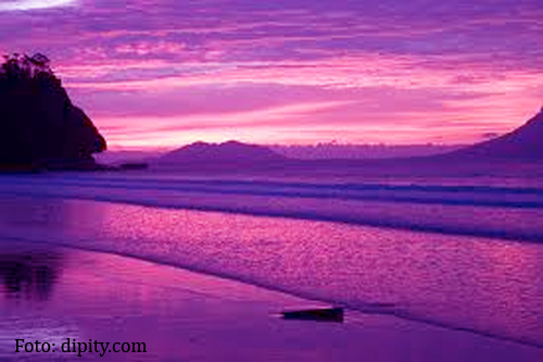 Blue, Red or Purple Ocean?