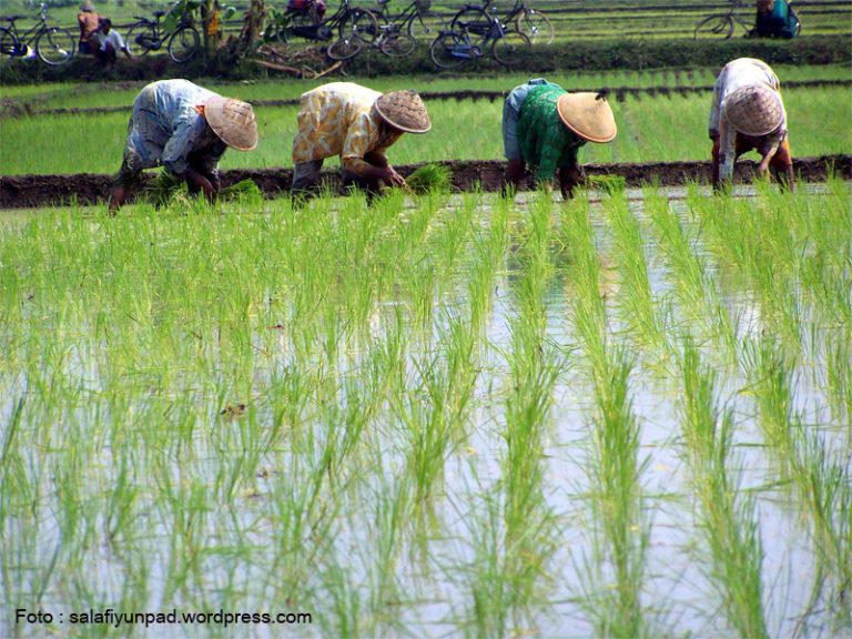 Hukum Petani (Bagaimana Menjadi Tenaga Penjual yang Sukses)