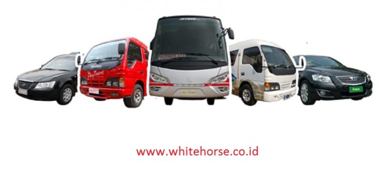 whitehorse