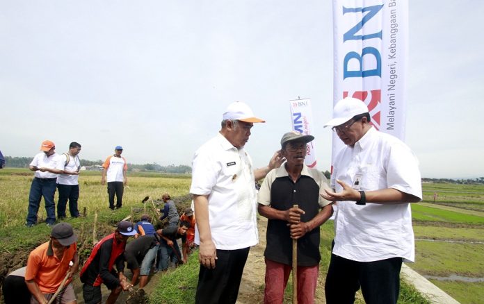 program pkt bni