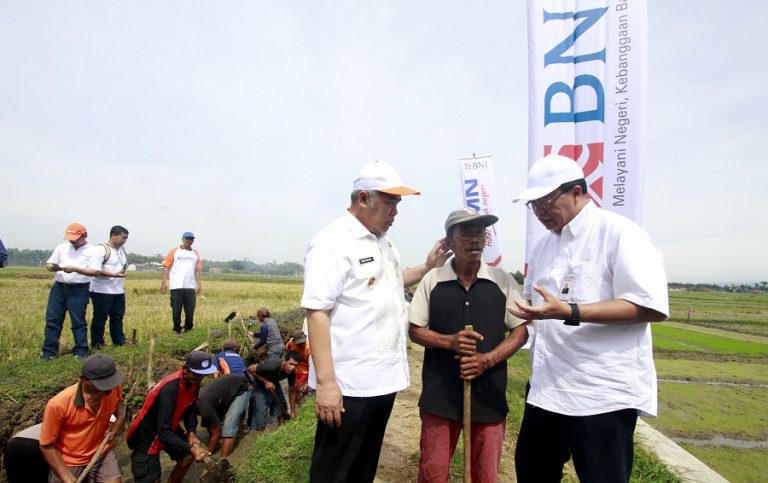 program pkt bni