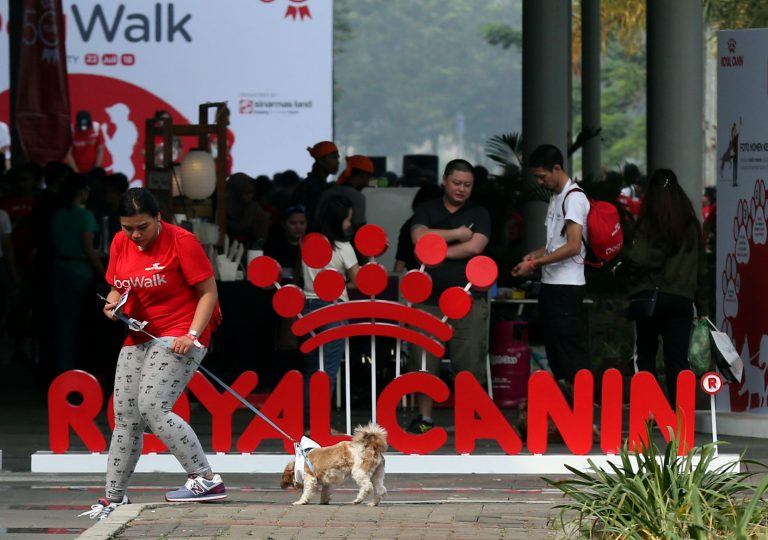 Royal Canin Gelar Lomba Jalan Santai Anjing Peliharaan