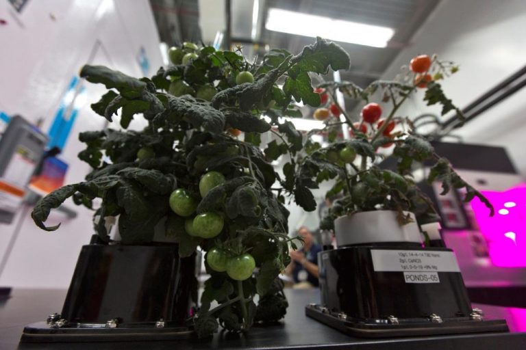 Proyek NASA X Tupperware Raih Penghargaan Bergengsi