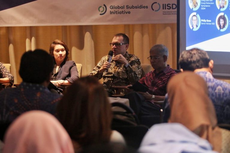 Biaya Energi Terbarukan Turun, Indonesia Bisa Capai Target 23% pada 2025