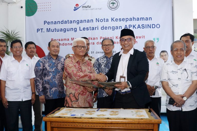Tingkatkan Daya Saing, MUTU International Gandeng Petani Sawit