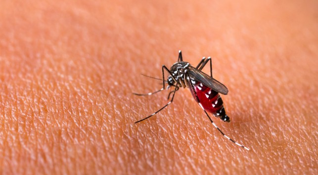 Teror Virus Corona, Ratusan Korban Jiwa DBD Terlupakan
