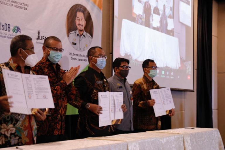 Program UPLAND Diharapkan Tingkatkan Kapasitas, Inovasi dan Pendapatan Petani kementan
