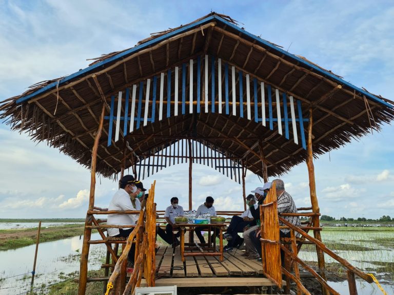 Koordinasi Food Estate Kalteng Diperkuat, Jaringan Irigasi akan Dibenahi