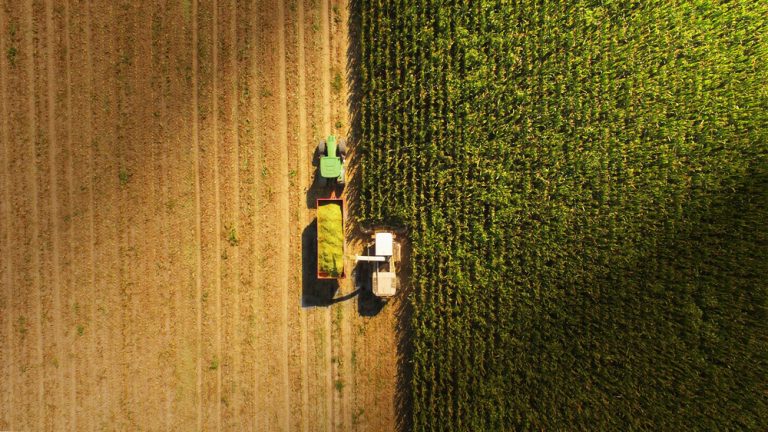 Manfaatkan Irigasi Perpompaan, Sawah di Panciro Panen 3 Kali