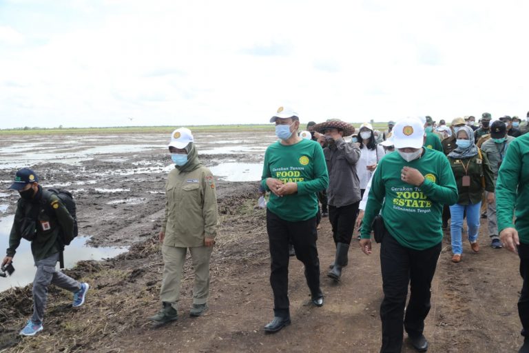 Kementan: Food Estate Kalteng Akan Jadi Kiblat Lumbung Pangan Nasional