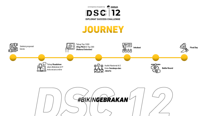 DSC 12