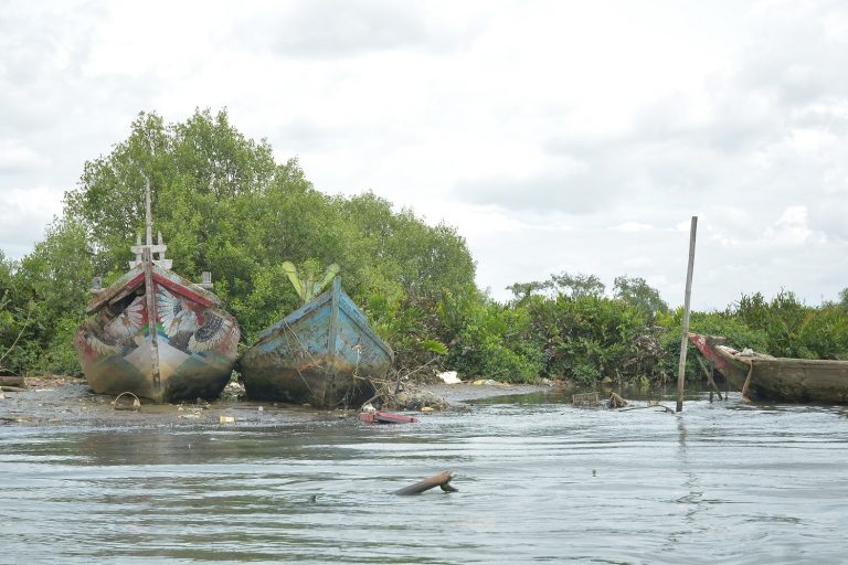 Ayobantu - Mangrove