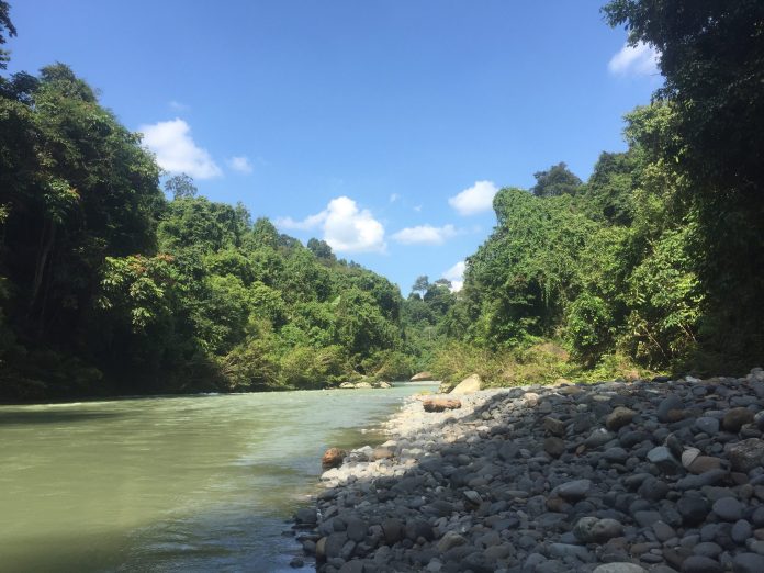 Ekowisata