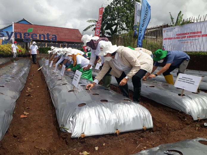 Syngenta Indonesia