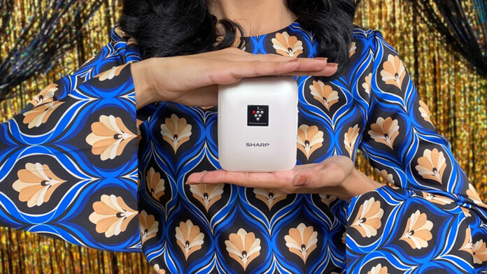 Mobile Ion Generator IG-NM1