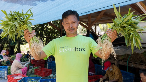 Startup e-Grocery Sayurbox Raih Pendanaan Seri C Rp 1,7 Triliun 