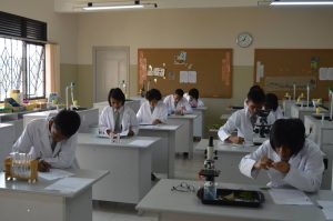Yayasan Del