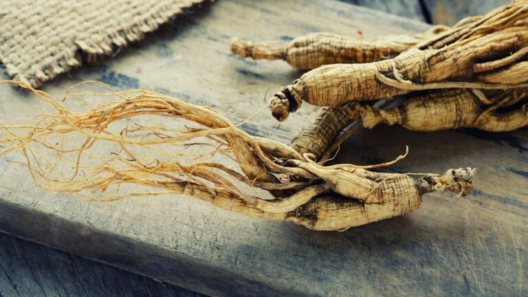 red ginseng