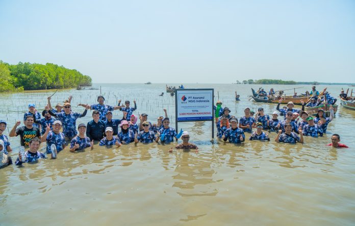 Asuransi MSIG Mangrove Plantation, CSR Asuransi MSIG, Asuransi Umum, CSR Asuransi MSIG