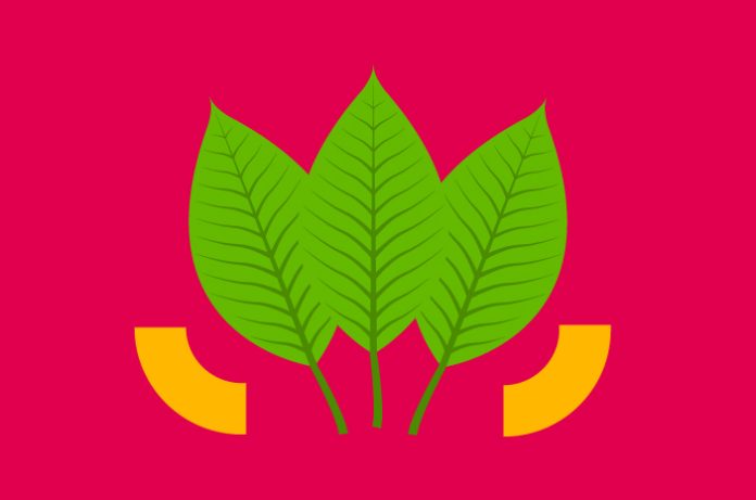 Tembakau