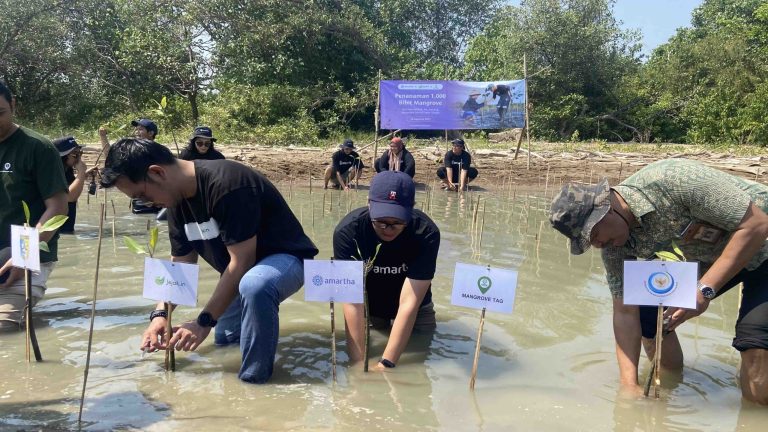 Kurangi Emisi Karbon, Amartha Tanam 1.000 Mangrove di Pesisir Pantai Morodemak