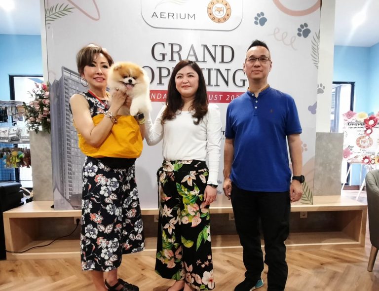 Gandeng Social Dog, Aerium Hadirkan Fasilitas Dog Hotel Social Dog
