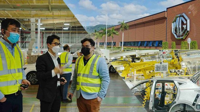 MG PLANT