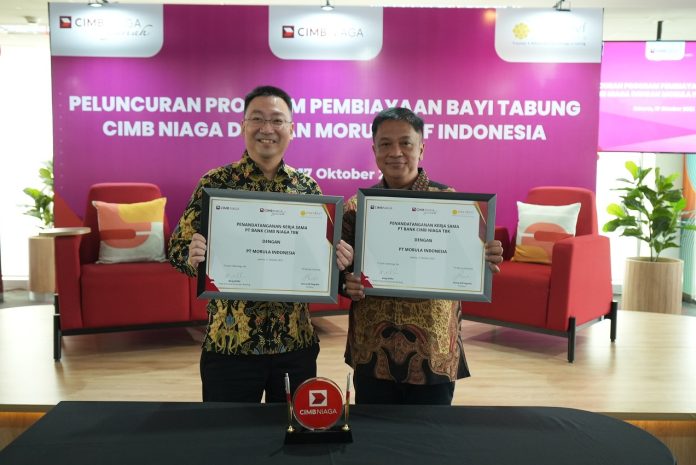Pembiayaan bayi tabung