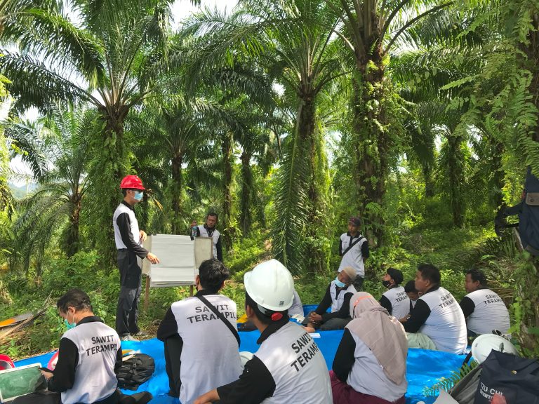 Petani Sawit