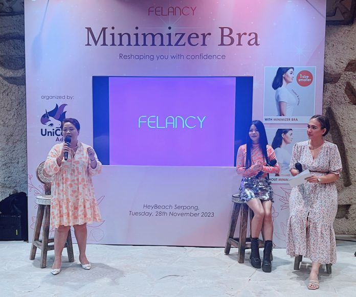 Minimizer Bra Felancy