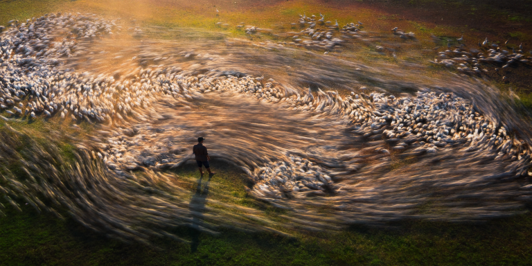 Epson Dukung International Pano Awards ke-15