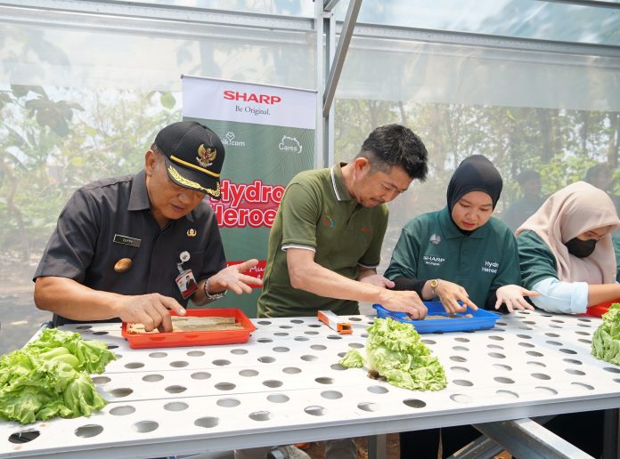 038 - foto 4 - Perwakilan Sharp bersama perwakilan dari pemerintah kabupaten karawang mencoba menanam dengan menggunakan sistem hydroponik Sharp Hydro Heroes