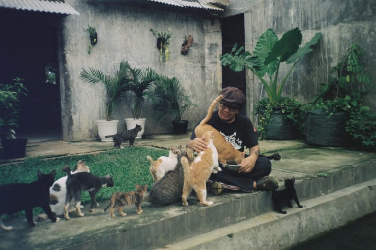 68,76% Orang Indonesia Pelihara Kucing, Inilah Fakta yang Wajib Diketahui Para Pemilik Kucing