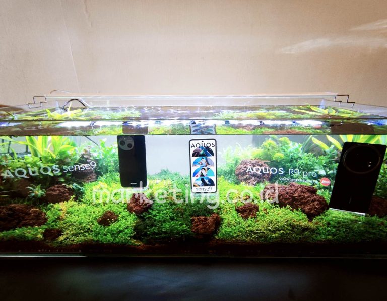 Bawa Aquos R9 Pro dan Sense9, Sharp Gaet Penggiat Foto dan Petualang Ekstrem
