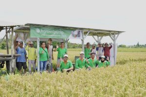 Schneider Electric Energy Access Asia