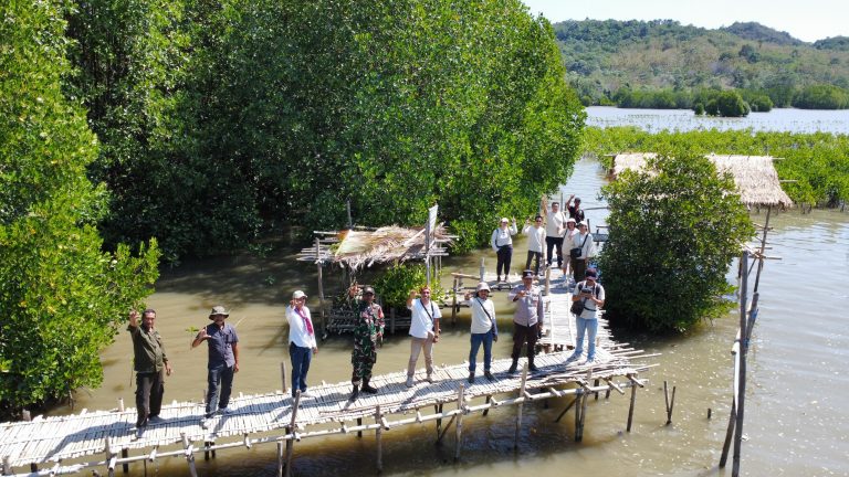 MPMX Lanjutkan Rehabilitasi Mangrove di NTT 