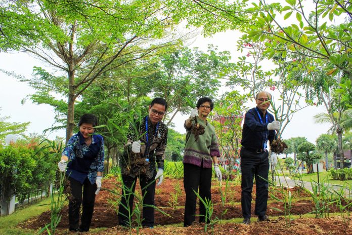 kalbe farma, Bintang Toedjoe, herbal, obat