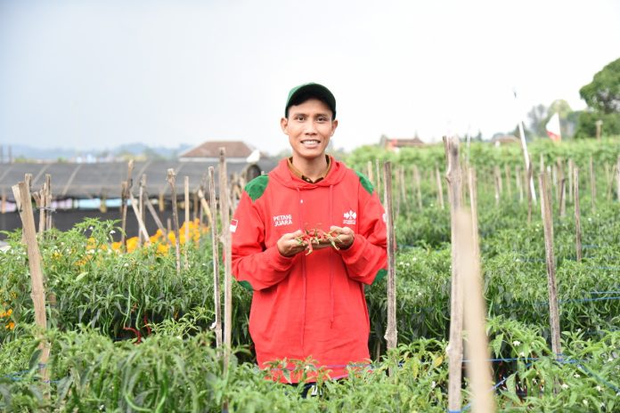 Petani Muda Banyuwangi Ini Jadi Inspirasi Pertanian Modern