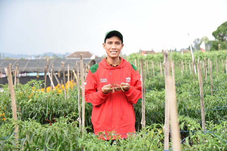 Petani Muda Banyuwangi Ini Jadi Inspirasi Pertanian Modern