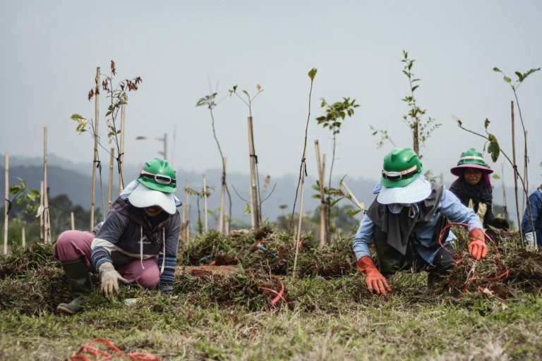 EIGER Adventure Land Tanam 100 Ribu Pohon, Wujudkan Ekonomi Hijau di Megamendung